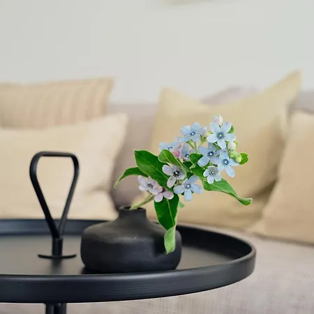 Апартаменты C5 